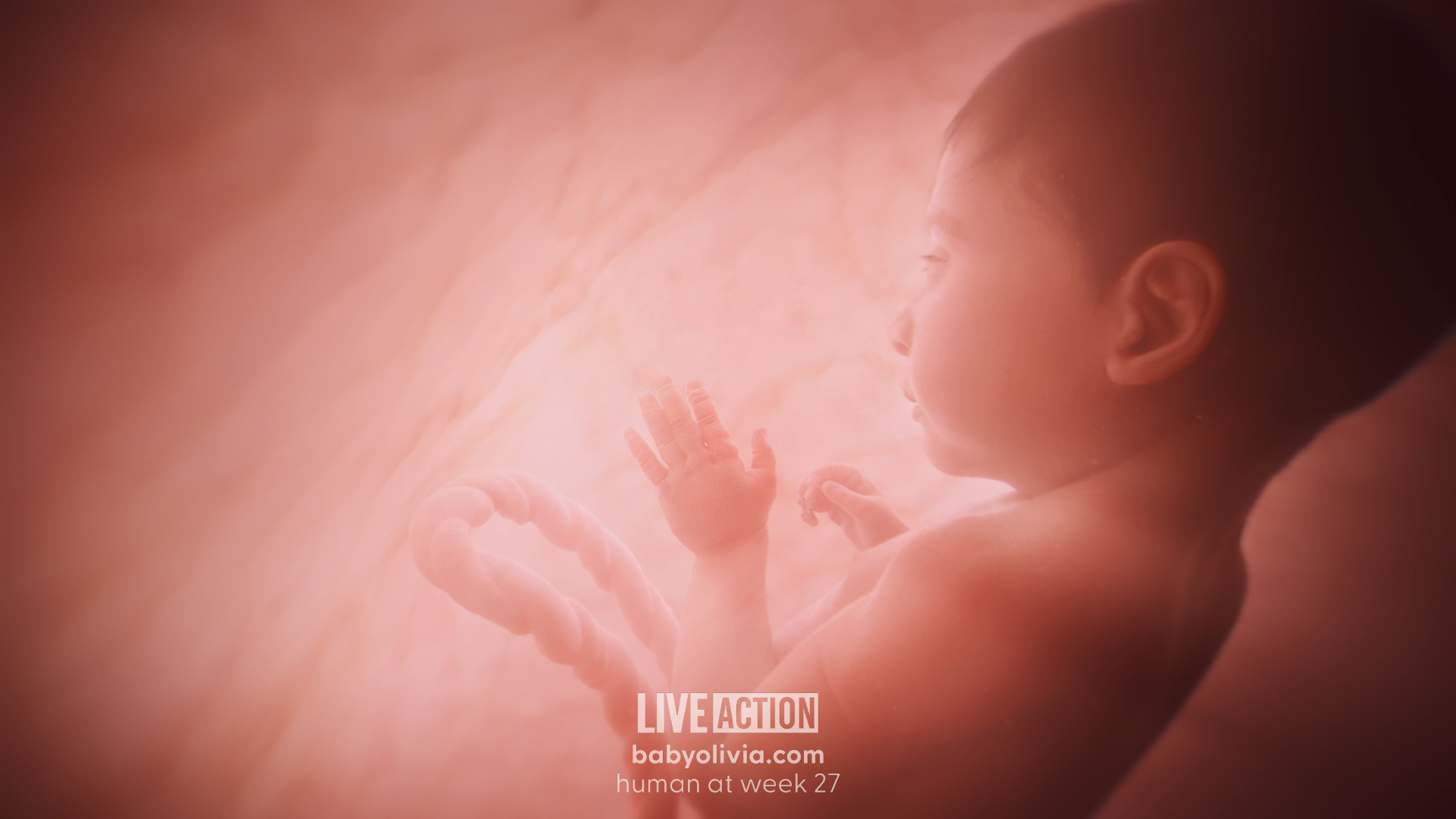 Meet Baby Olivia | A Never Before Seen Look At Human Life In The Womb